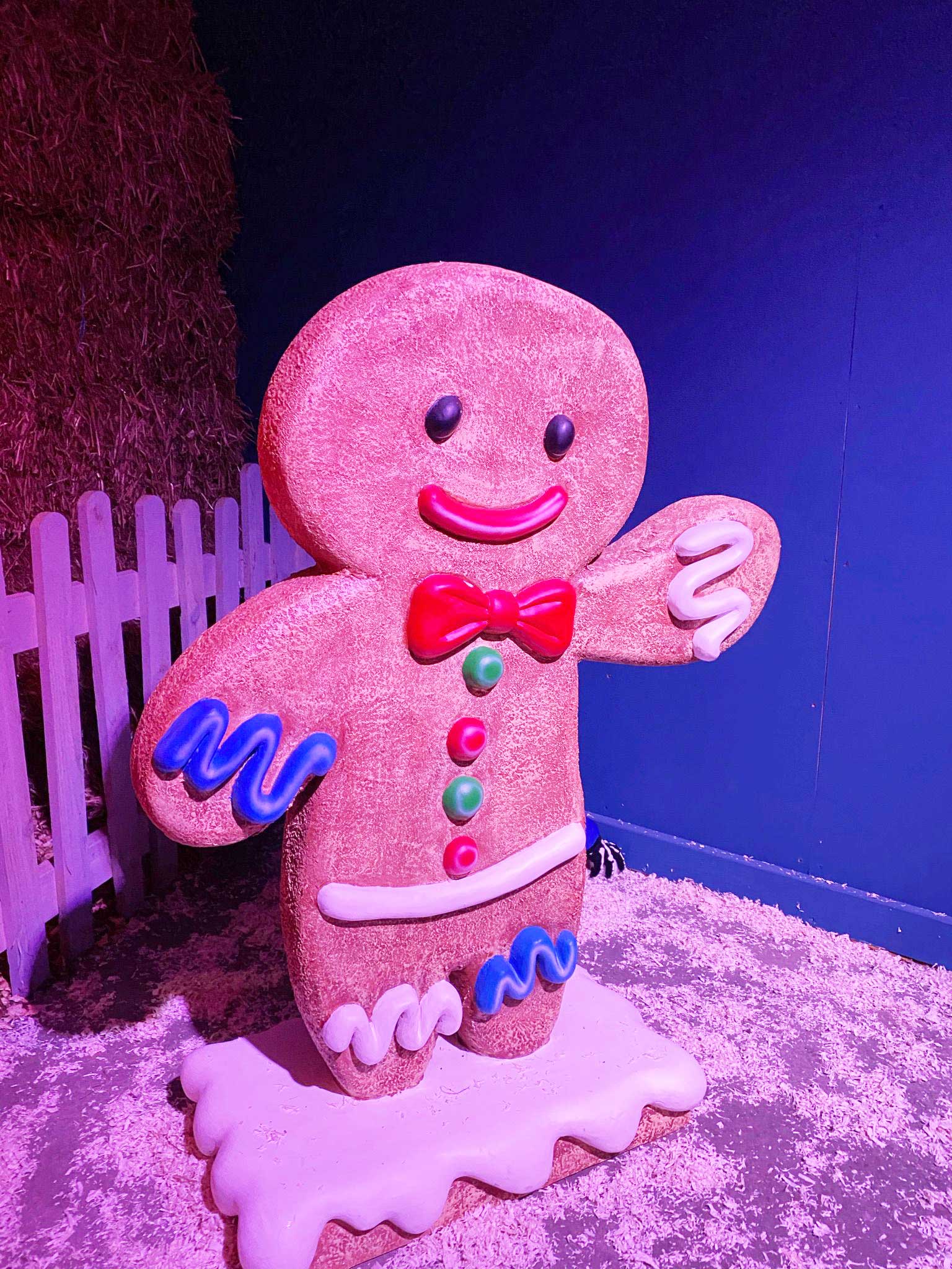 christmas 9 Mini Meadows Childrens Farm Northampton