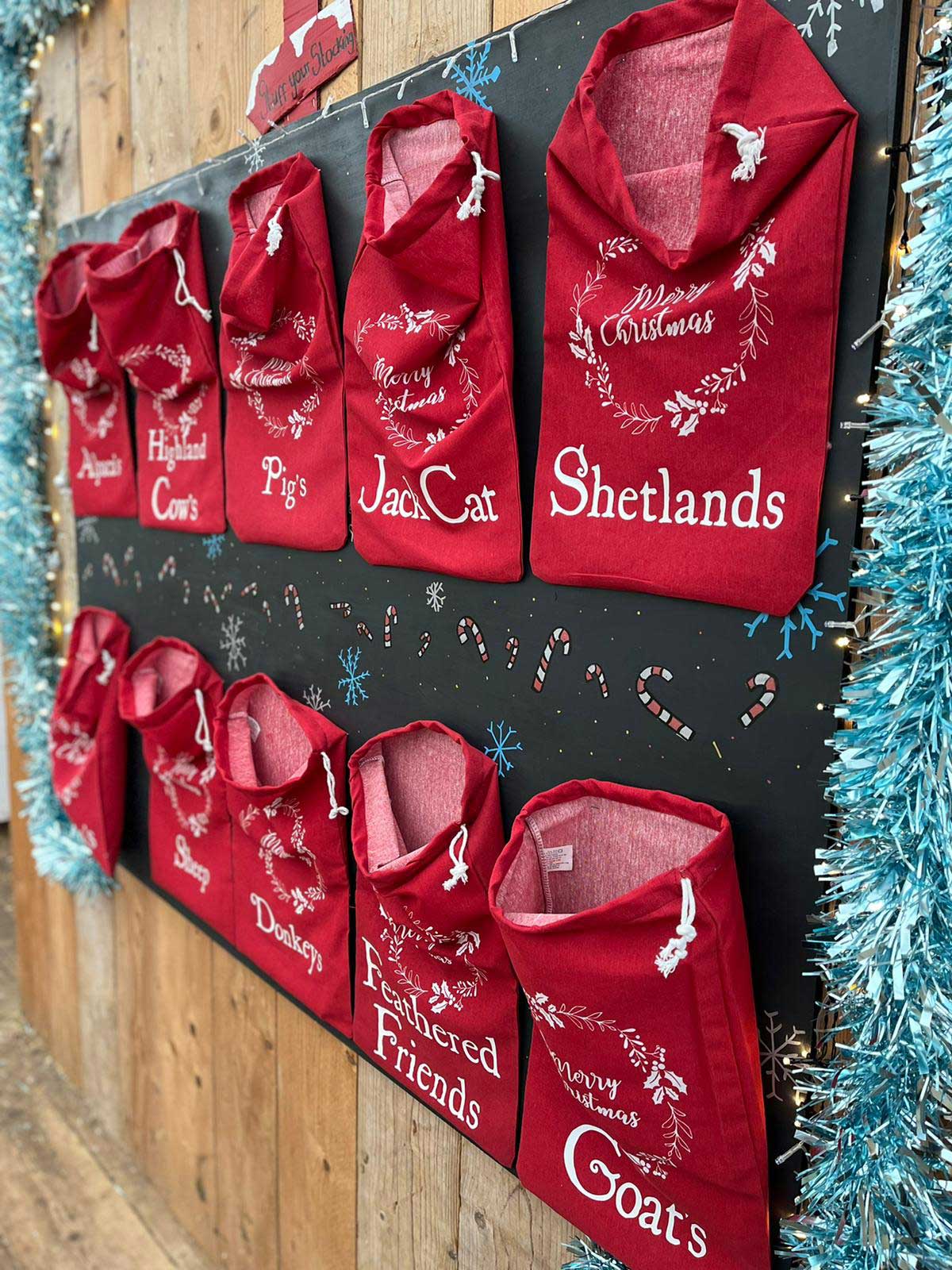 christmas 3 Mini Meadows Childrens Farm Northampton